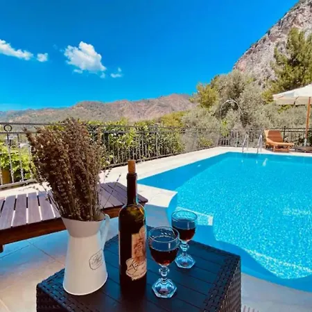 Villa Amazing W Private Pool Bbq In Göcek